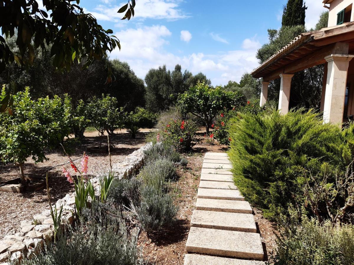 Sa Taulada Holiday home Santa Margalida